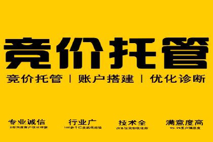 某某SEM公司经典案例：如何用SEM策略提升品牌知名度